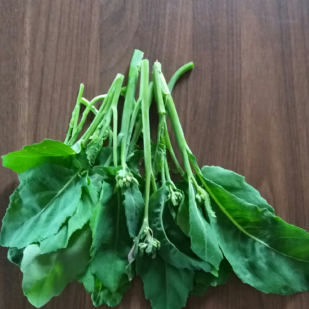 Brassica oleracea (Alboglabra Group) in the GardenTags plant encyclopedia Chinese Broccoli in the GardenTags plant encyclopedia