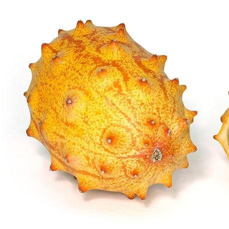 Cucumis Metuliferus in the GardenTags plant encyclopedia Kiwano Melon in the GardenTags plant encyclopedia