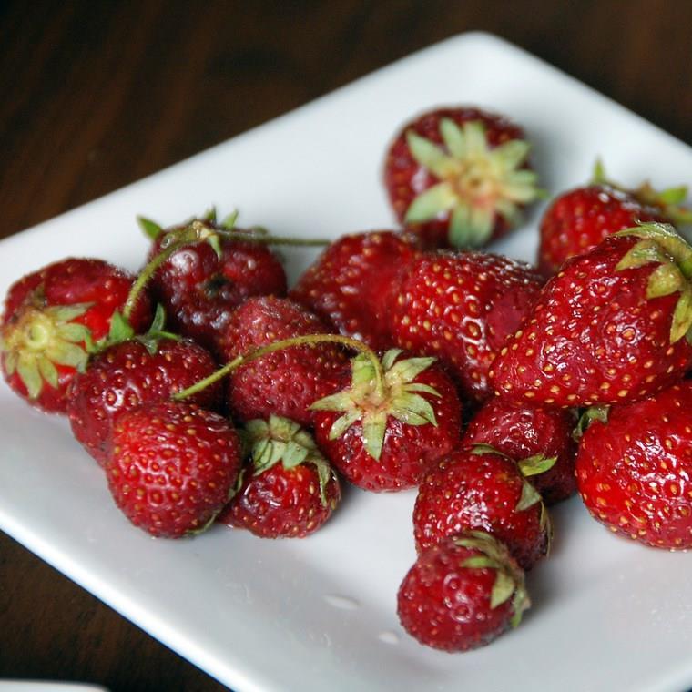 Fragaria x ananassa Hood in the GardenTags plant encyclopedia Strawberry Hood in the GardenTags plant encyclopedia