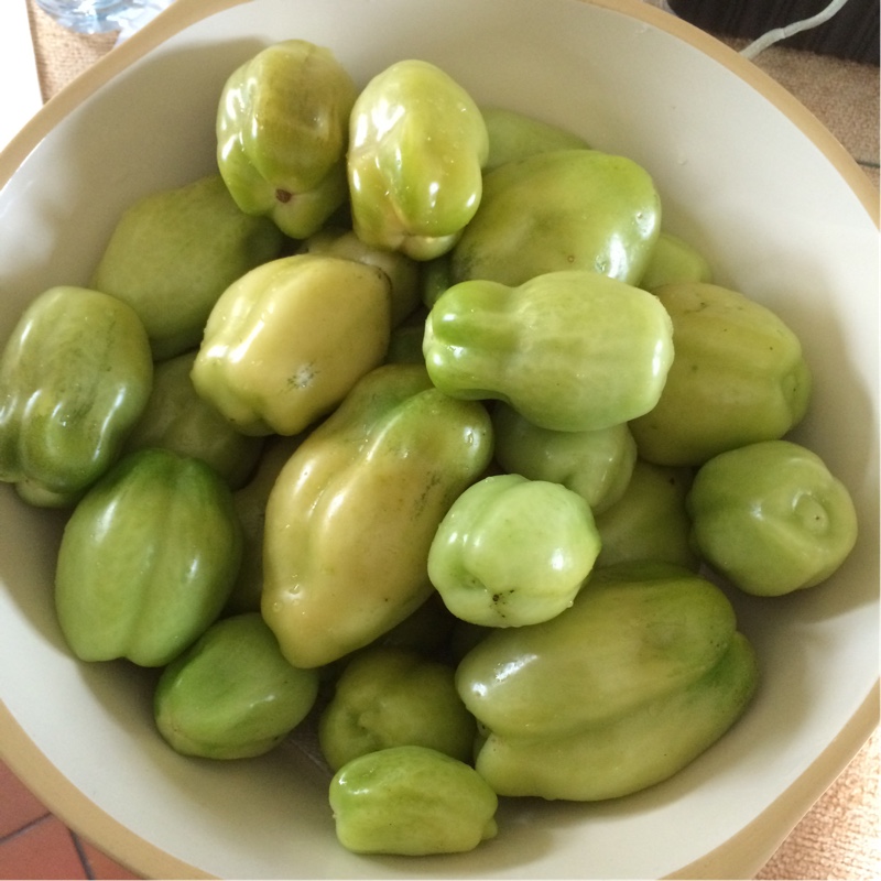 Solanum lycopersicum San Marzano 2 syn. Solanum lycopersicum San Marzano II in the GardenTags plant encyclopedia Tomato San Marzano 2 in the GardenTags plant encyclopedia