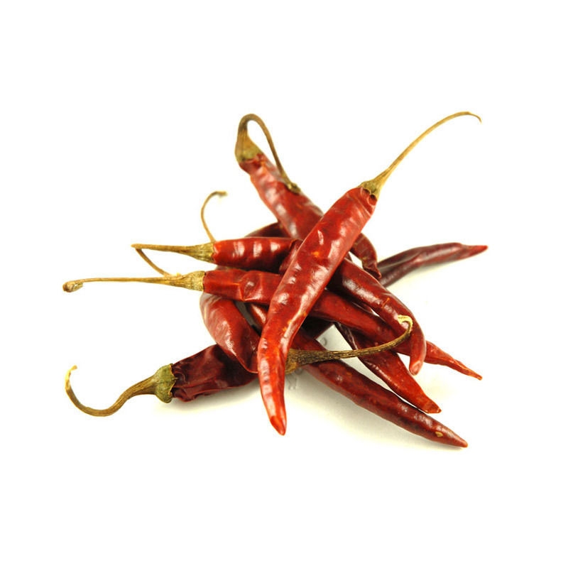 Capsicum Annuum Chile de árbol in the GardenTags plant encyclopedia Chilli Chile De Arbol in the GardenTags plant encyclopedia