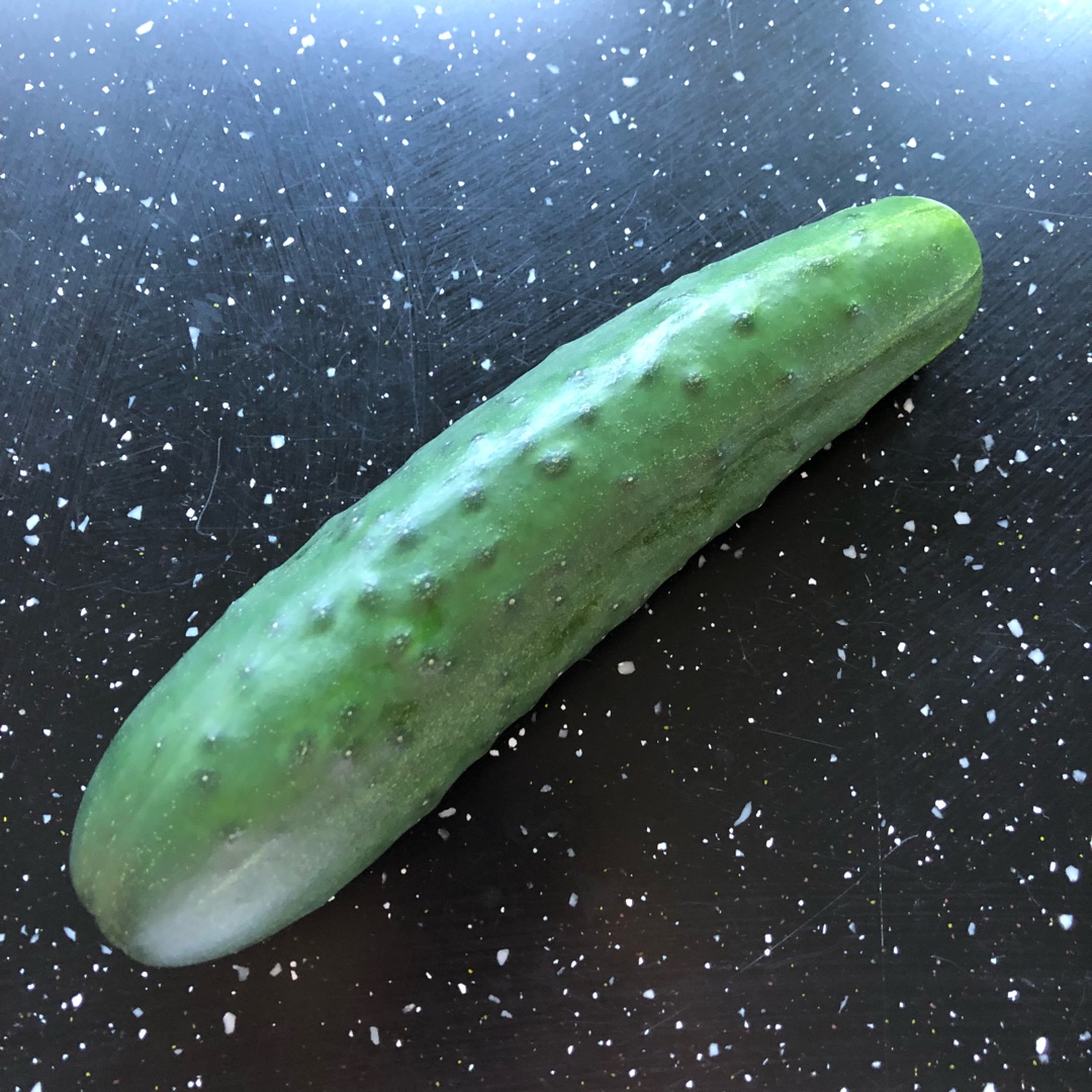 Cucumis sativus Jogger F1 Hybrid in the GardenTags plant encyclopedia Cucumber Jogger F1 hybrid in the GardenTags plant encyclopedia
