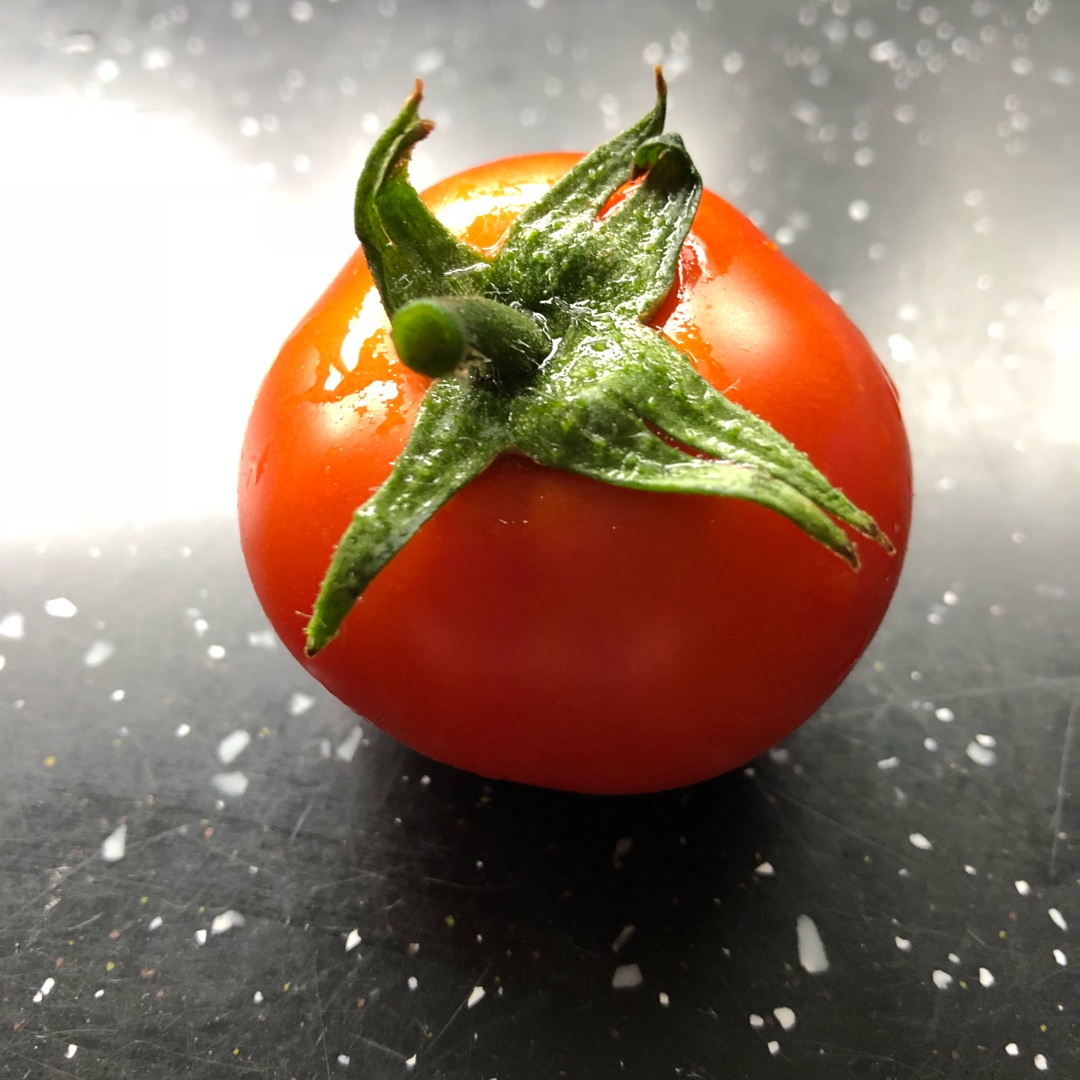 Solanum lycopersicum Amateur in the GardenTags plant encyclopedia Tomato Amateur in the GardenTags plant encyclopedia