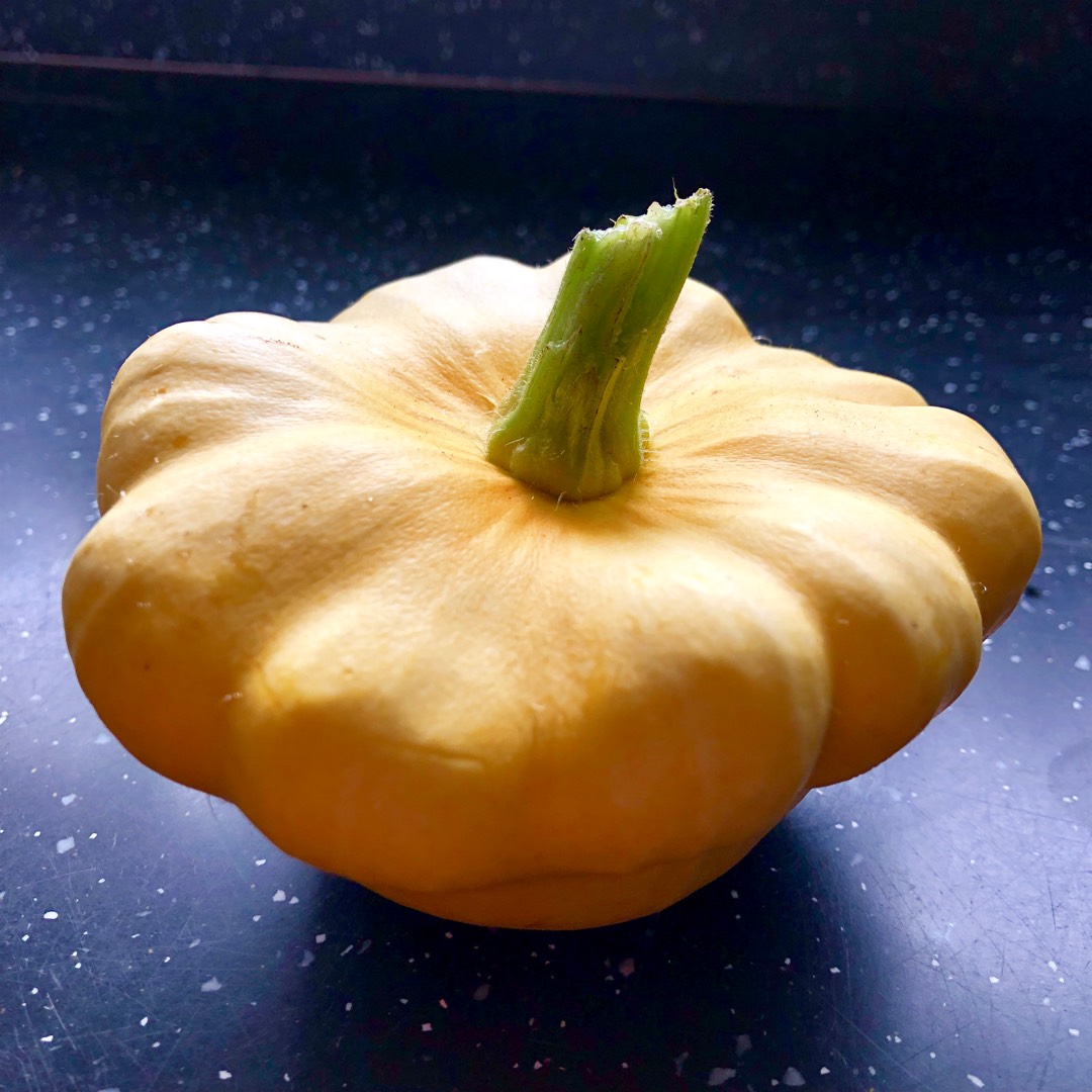Cucurbita Pepo Sunburst Patty Pan in the GardenTags plant encyclopedia Squash Sunburst Patty Pan in the GardenTags plant encyclopedia