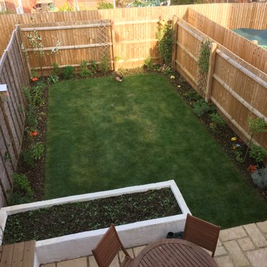 Ollie's garden