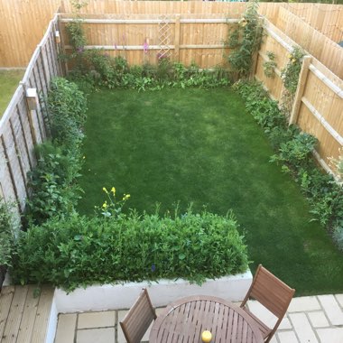 Ollie's garden