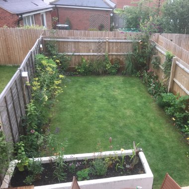 Ollie's garden