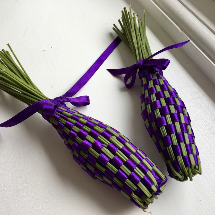 plant image 1352841