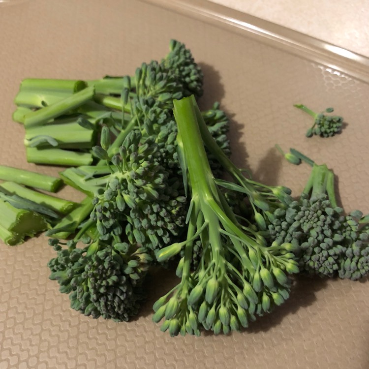 Plant image Brassica oleracea (Italica Group)