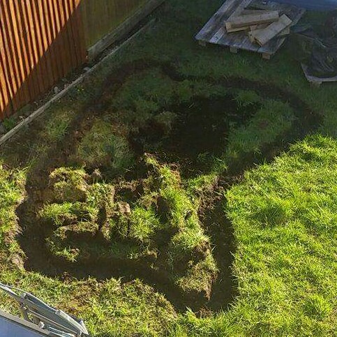Abbi's garden