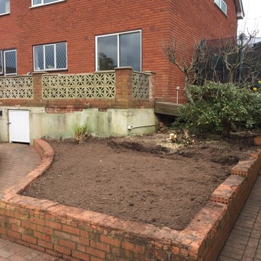 Adam's garden