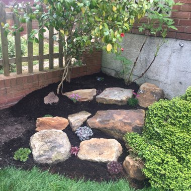 Adam's garden