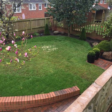 Adam's garden