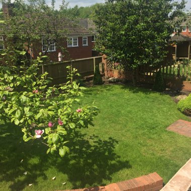Adam's garden