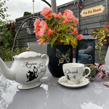 Angie's garden