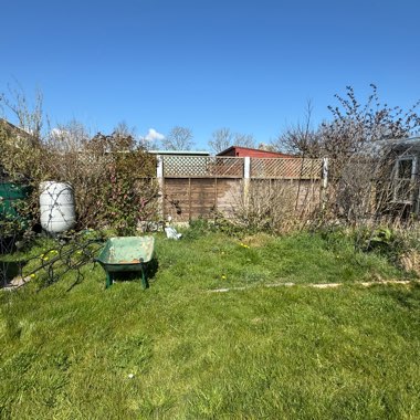 Angie's garden