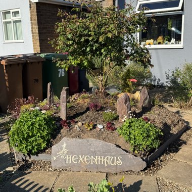 Angie's garden