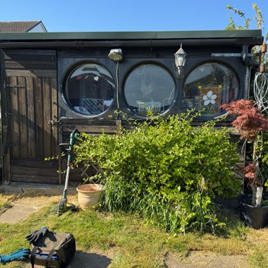 Angie's garden