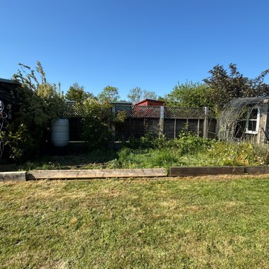 Angie's garden