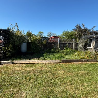 Angie's garden