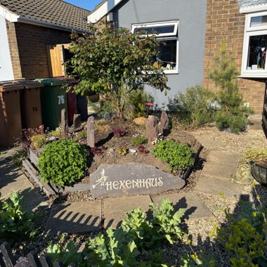 Angie's garden