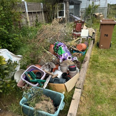 Angie's garden