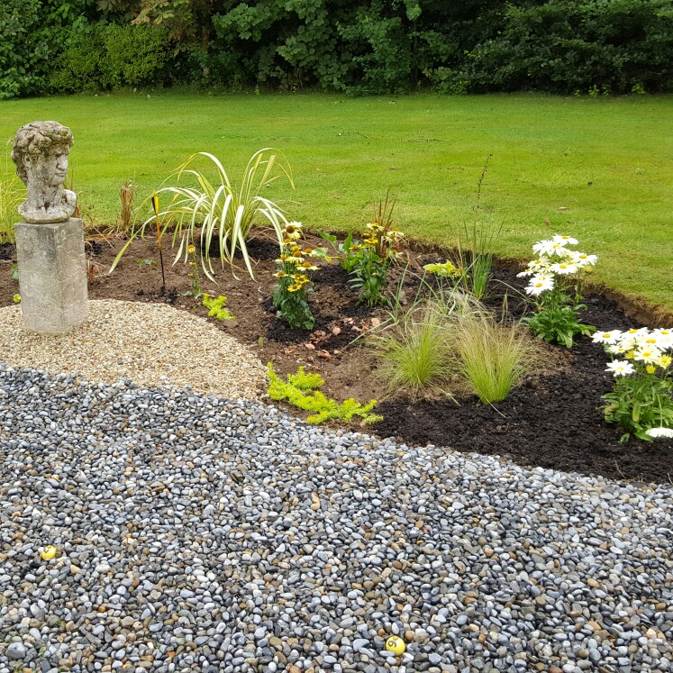 Adrian's garden