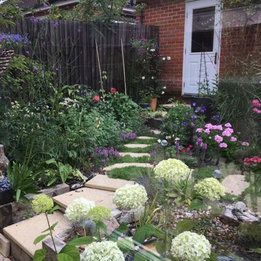 Amanda's garden
