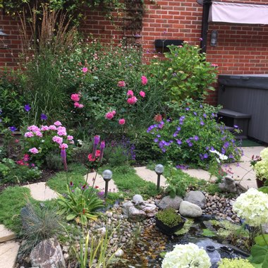 Amanda's garden