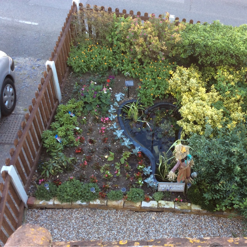 Alan Paul's garden