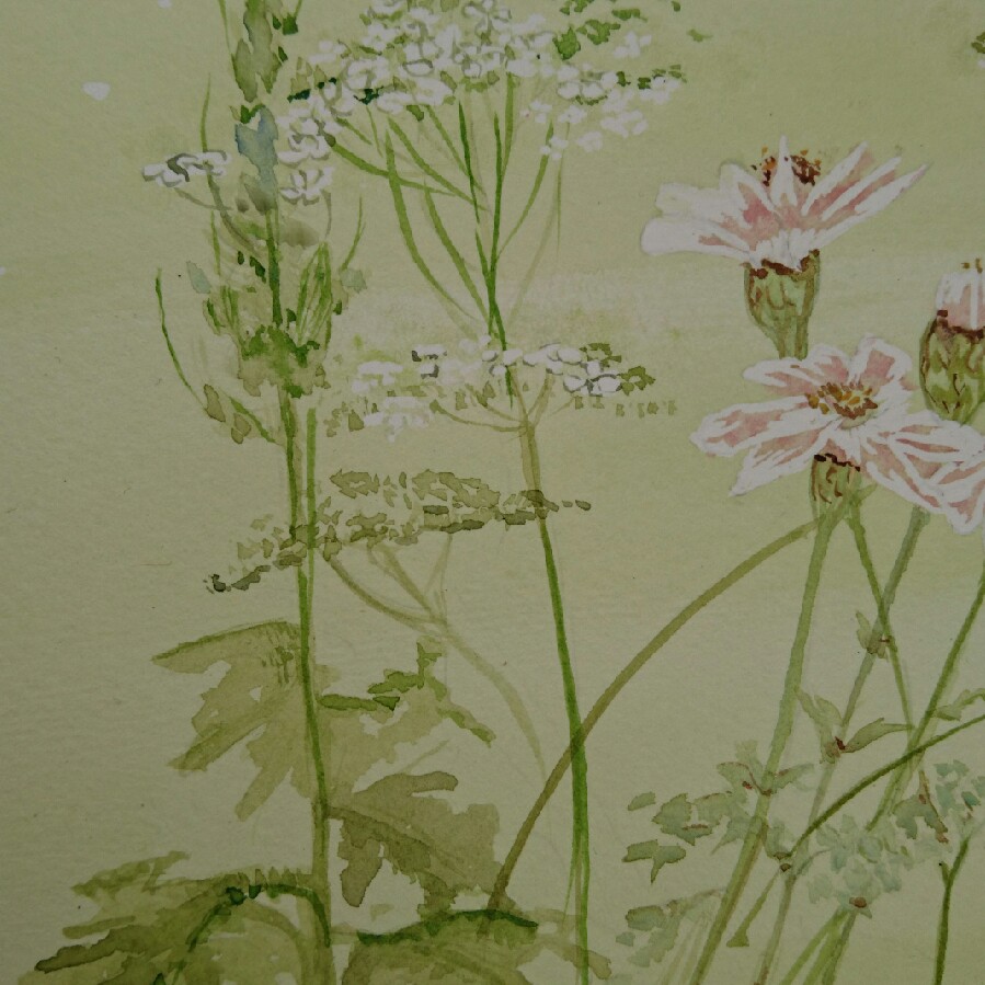 lottie 's garden