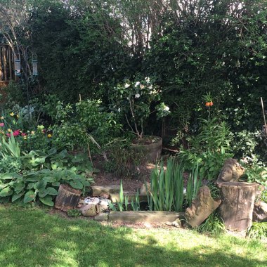 Alexander's garden