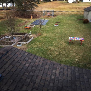 Sadie's garden