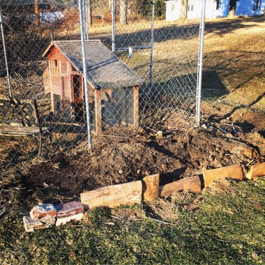 Sadie's garden