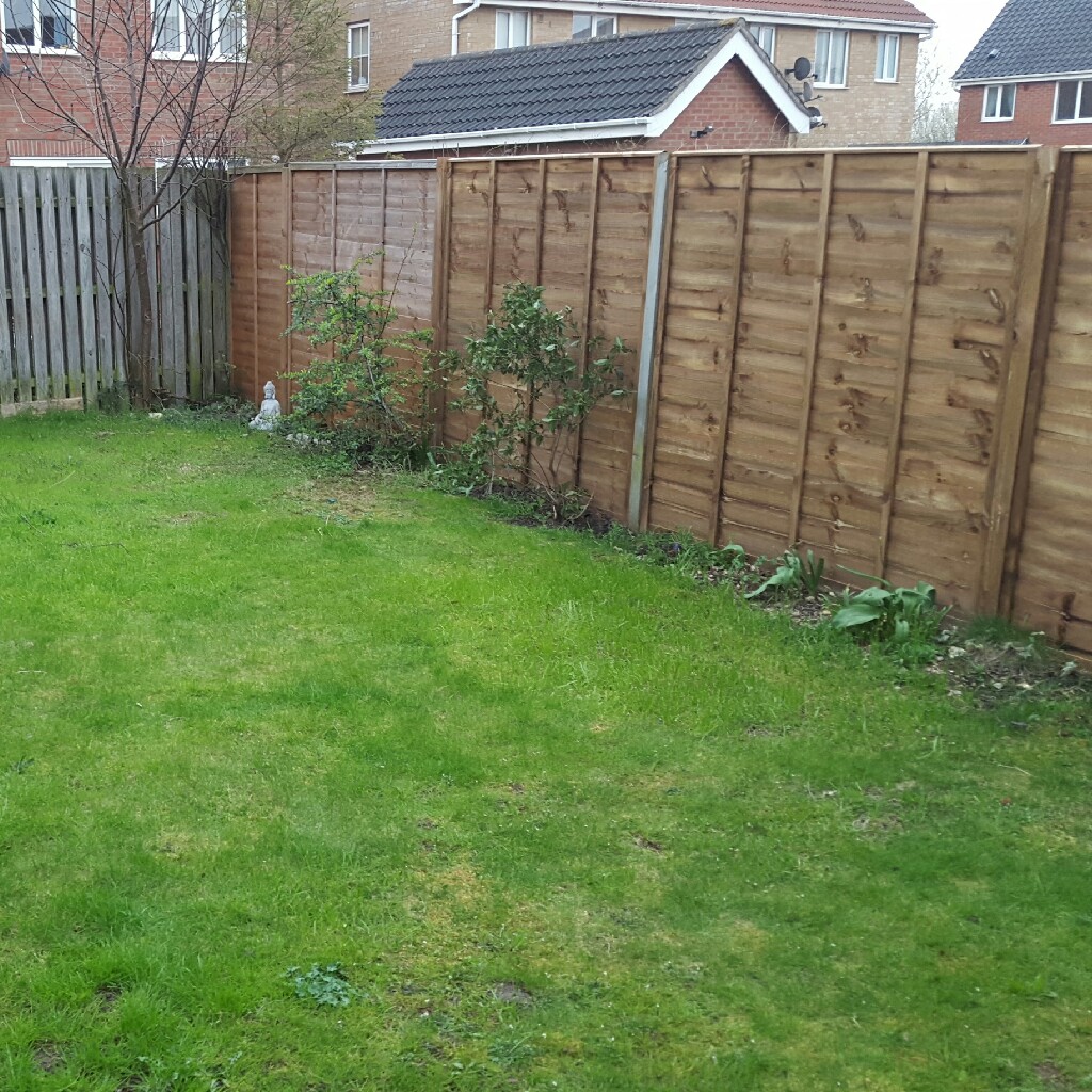 Ivan's garden