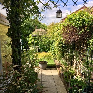 Dawn's garden