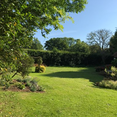 Amanda's garden