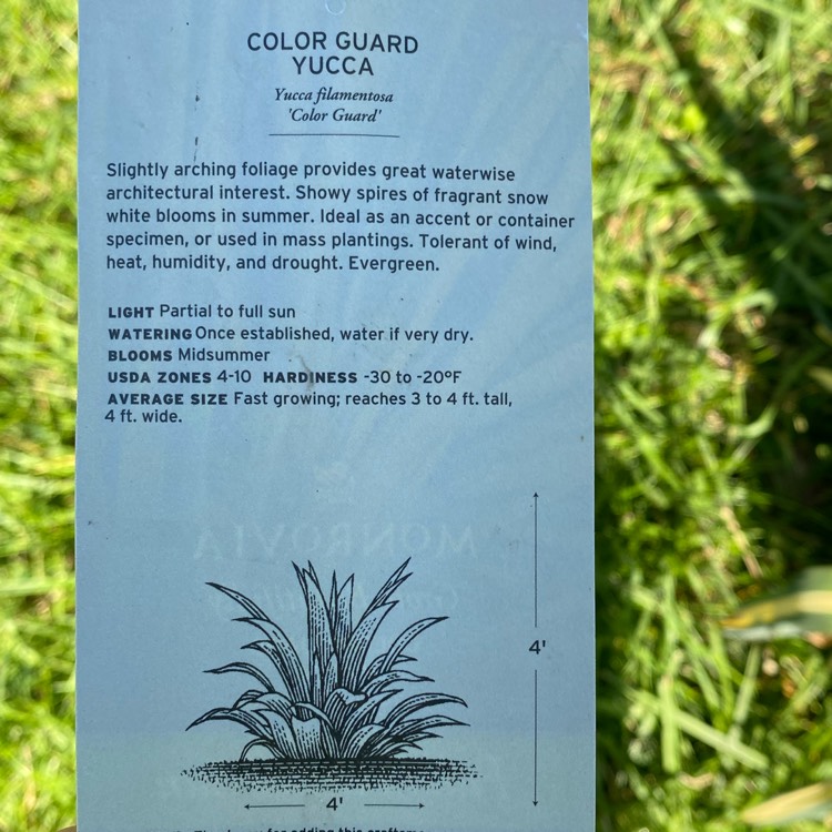 plant image 1684578 plant image 1684578