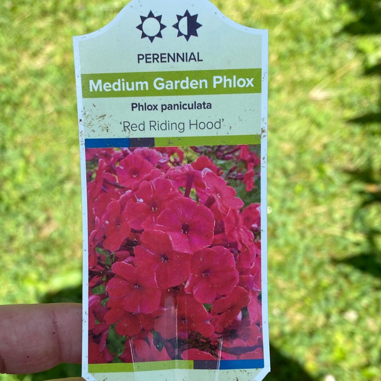 plant image 1712401
