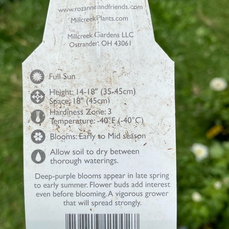 plant image 1713874 plant image 1713874