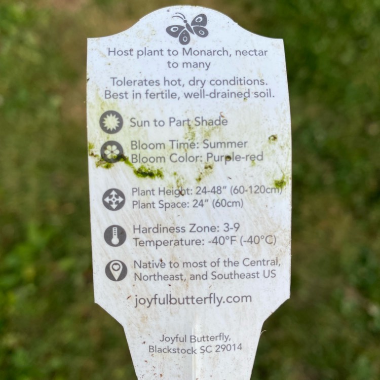 plant image 1716356