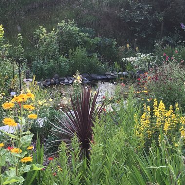 Anne-Marie's garden