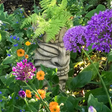 Linda's garden