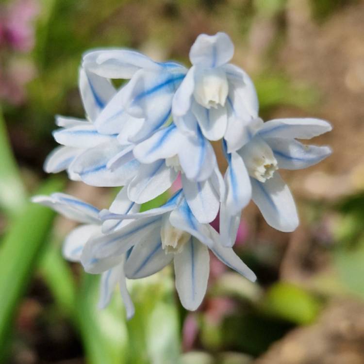 plant image 1574043