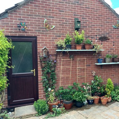 Andy's garden