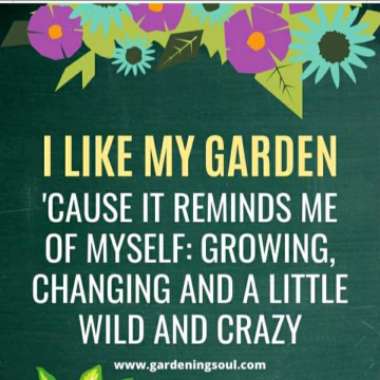 Jennifer's garden