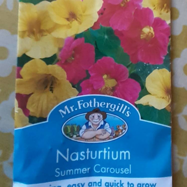 Plant image Tropaeolum majus 'Summer Carousel'