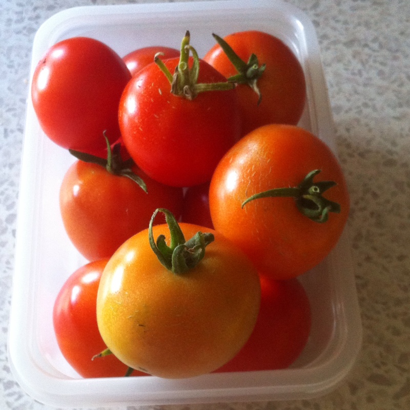 Solanum lycopersicum 'Super Marmande'
