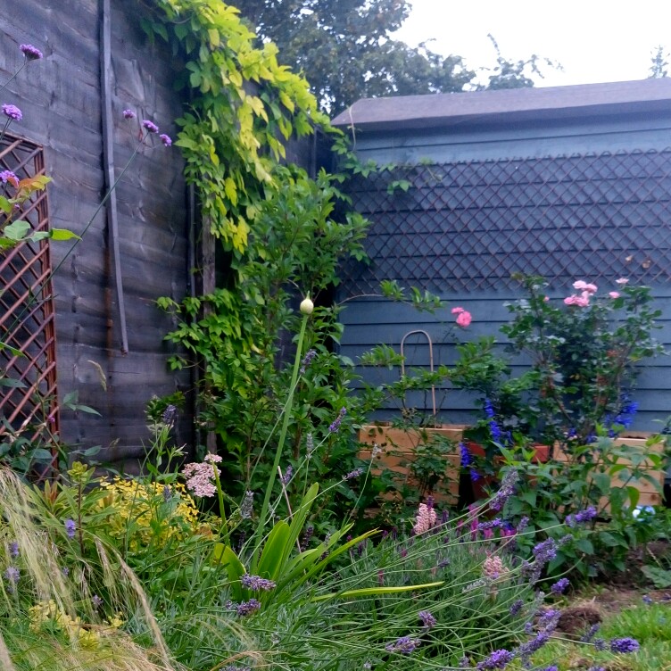 Anna 's garden