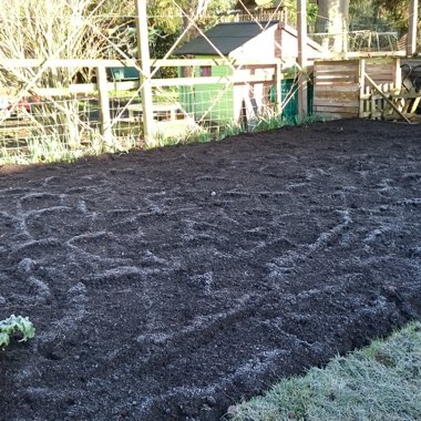 Anne's garden